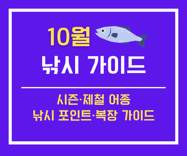 10월 낚시 추천 어종과 제철 낚시 가이드